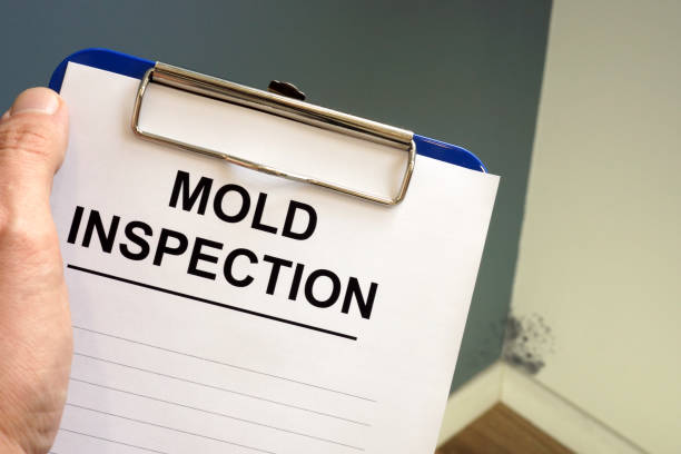 Mold Remediation for Vacation Homes in Fort Payne, AL